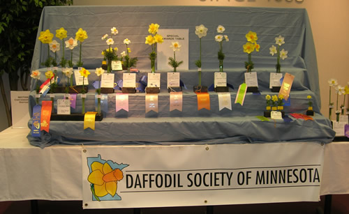 2013 Awards Table